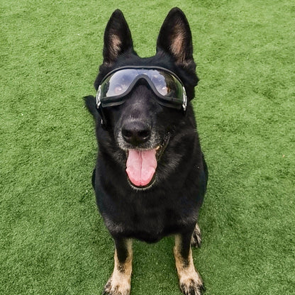 Large dog-ink sunglasses