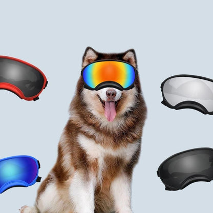 Modische Ski-Sonnenbrille für große und mittelgroße Hunde