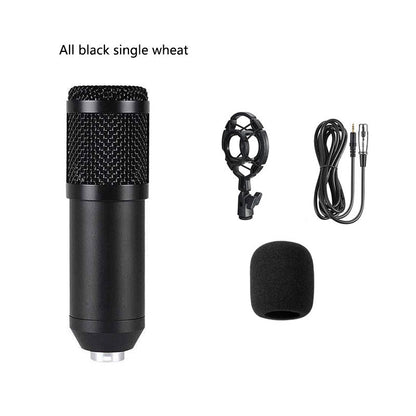 Bm800 Condenser Microphone Microphone V8 Sound Card Cross-Border Anchor Computer Recording Bracket Large Diaphragm Live Broadcast Set