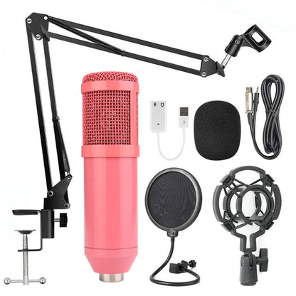 Ensemble de pieds de microphone en filet