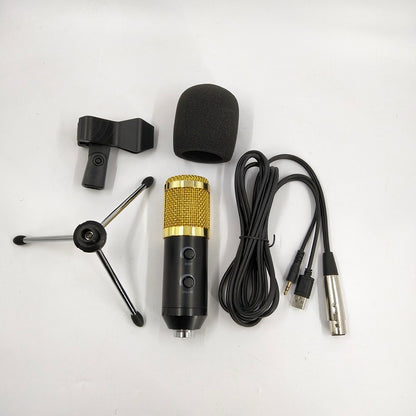 Reverb BM800 microphone