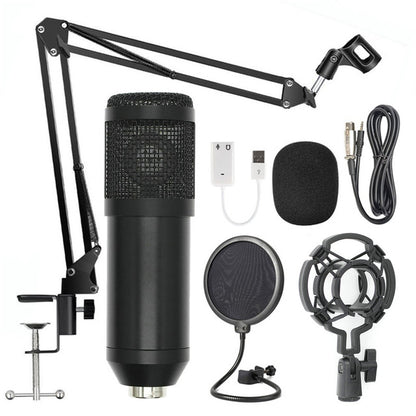 Ensemble de pieds de microphone en filet