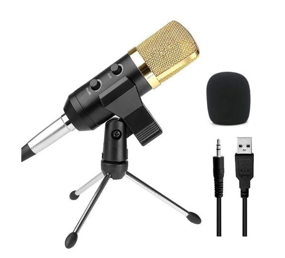 Reverb BM800 microphone